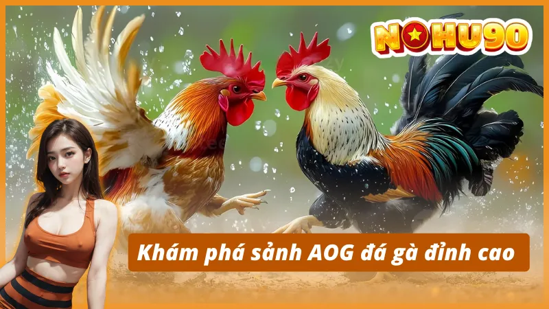 Khám phá sảnh AOG đá gà đỉnh cao