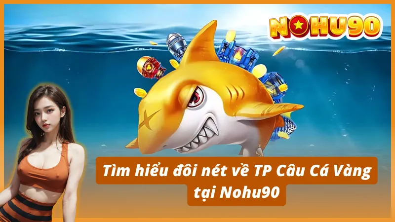 Tìm hiểu đôi nét về TP Câu Cá Vàng tại Nohu90