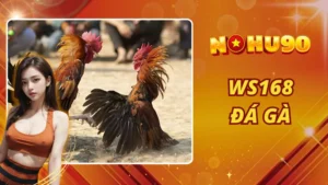 WS168 Đá Gà